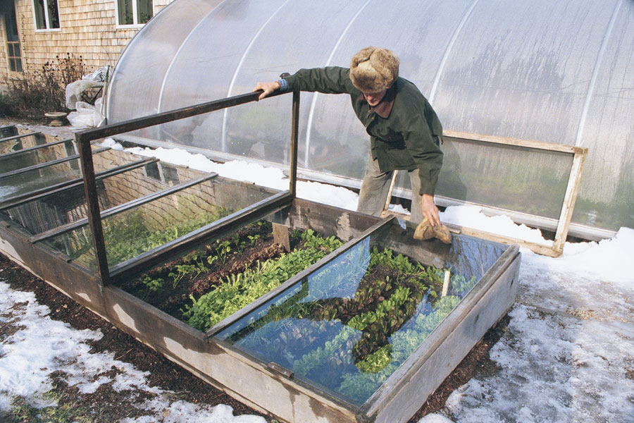 Ochrániť plodiny voči mrazom pomôže aj parenisko